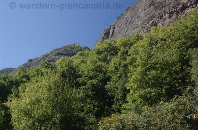 Wandern im Barranco de la Virgen, Gran Canaria